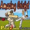 Amazing Cricket   Mobile Game