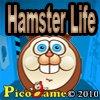 Hamster Life   Mobile Game