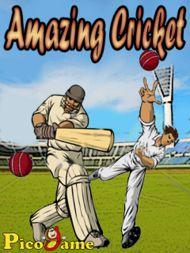 Amazing Cricket Mobile Game 