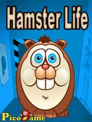 Hamster Life Mobile Game 