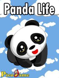 Panda Life Mobile Game 