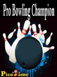 Pro Bowling Champion Mobile Game 