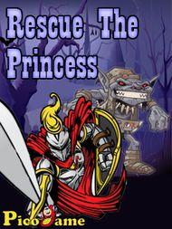 Rescue The Princess Mobile Game 