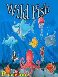 Wild Fish Mobile Game 